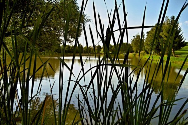 rybnik_tabor_okoli_01